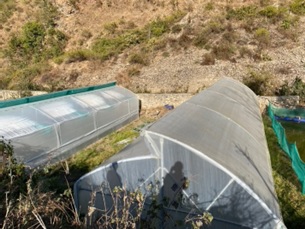 Polyhouses help protect against wildlife and extend the growing season through the winter months.
