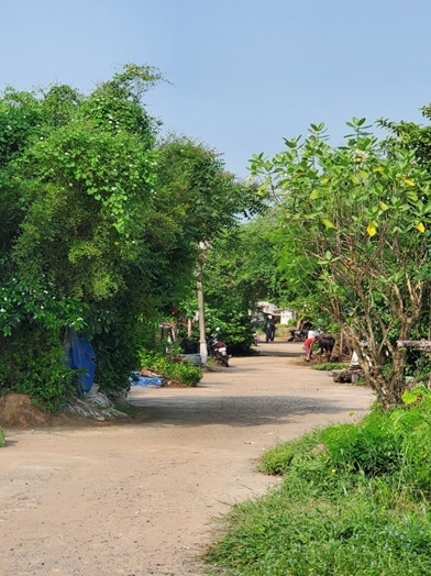 The road to Manharbhai's shop